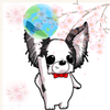YoYo6