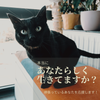 tomo050505