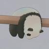 ayあや