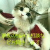 ユウぽん