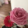 roseflower_y
