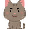 ブライアンねこ