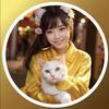 【金運占い】開運へ導く黄金猫
