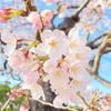 侑莉ゆうり