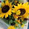 かなっぺ◯看護師兼カウンセラー