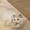 マーケティング支援のリスト屋