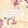 さとう　まい