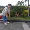 user