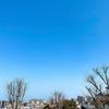 Feather_field_8