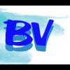 Best Vision Group