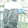 MINTO_