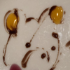 アラノミカリス