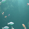 Happinessmind
