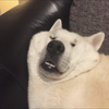 ムラノ