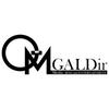 株式会社GALDir Media