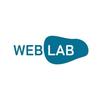 WEB LAB Lisa