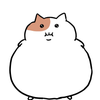 ナカヤマン８