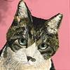アトリエRs