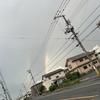 mocelu