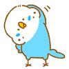 まめみる