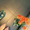 kozue_design_lab