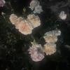 想 霊視鑑定師