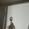 るいぶぇとん