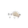 tocha