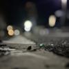 編集者パール