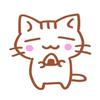 7CATS