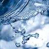水 杜