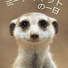 犬系ミーアキャット
