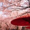 京都クリエイション