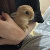 すんずき