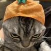 まゆてぃん