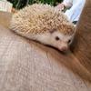 相談聞きます
