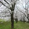 yuki030805