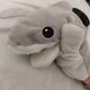 さーめぐらふぃ