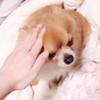 RISAKO