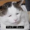 変わり果てたきゅうりまーさん