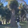 カズキプランツ