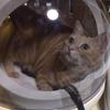 まーるっ