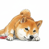 ふくちゃんピピ