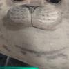 ワワ•モグモグ