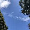 望のぞみ