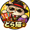 ⭐︎どら猫⭐︎