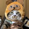 ごーてん