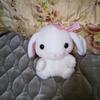 伊藤弥生