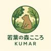 yuu kumazawa