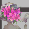しろの05